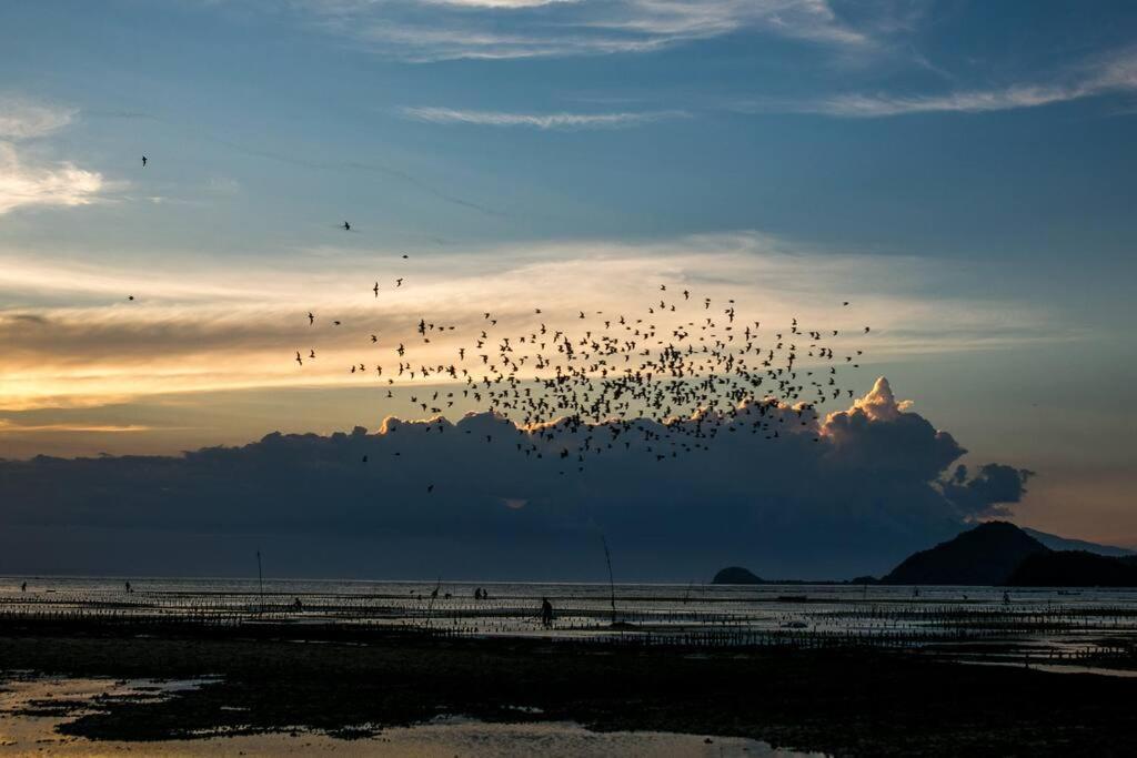 Beach-Front Sumbawa Surf House Lemonga Bagian luar foto