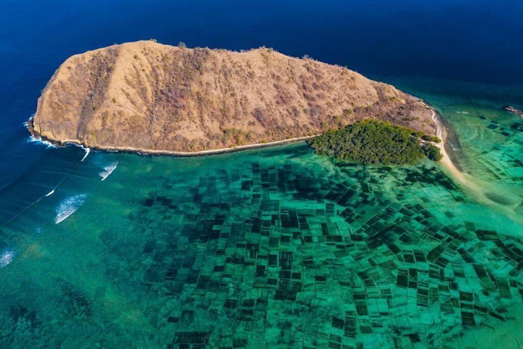 Beach-Front Sumbawa Surf House Lemonga Bagian luar foto