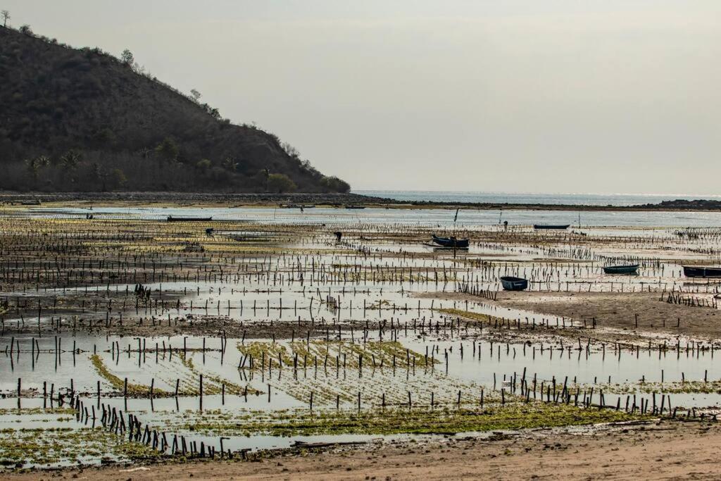 Beach-Front Sumbawa Surf House Lemonga Bagian luar foto